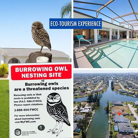 Luxury Waterfront Haven In Cape Coral - Dog-Friendly Escape With Private Pool 빌라 외부 사진